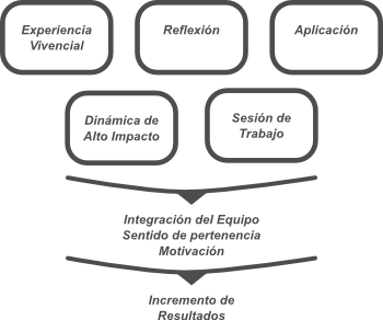 Estructura de la aplicación de las sesiones de Team Building